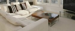 suede couch