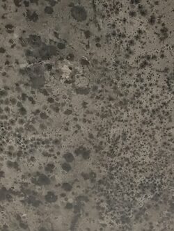 mold removal in nairobi ,Kenya