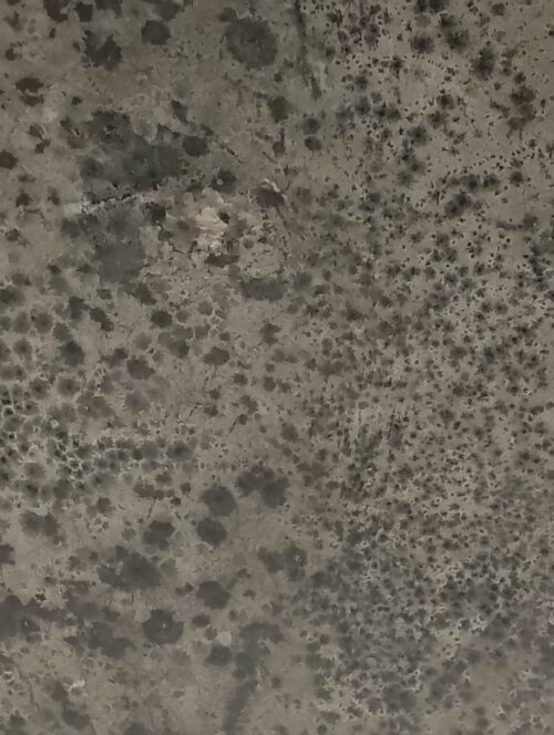 black mold on ceiling