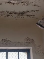 water damage resulting to mold growth