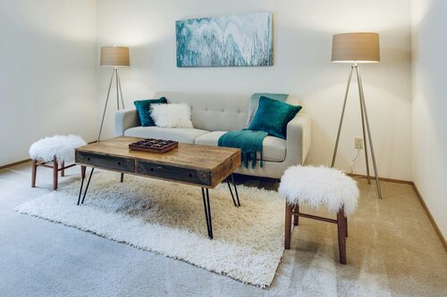 sofa cleaning