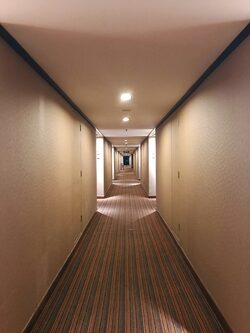 wall to wall carpet cleaning services in Nairobi
