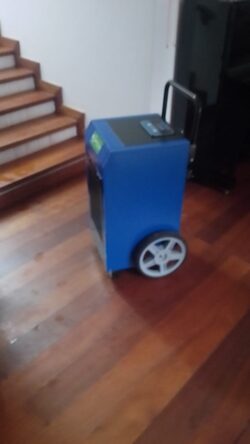 drying flooded house to prevent mold [dehumidification]